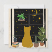 夜間子猫 (正面)