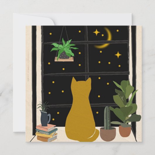 夜間子猫 (正面)