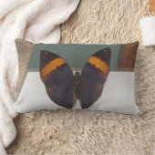 夜間蝶 ランバークッション (ブランケット)