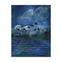 夜飛んでいるの鳥