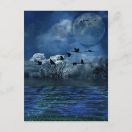 夜飛んでいるの鳥 ポストカード