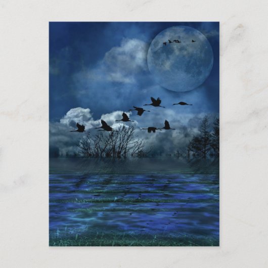 夜飛んでいるの鳥 ポストカード (正面)