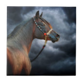 夜馬 タイル (正面)