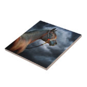 夜馬 タイル (側面)