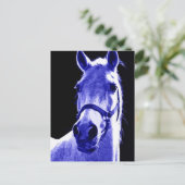 夜馬 ポストカード (スタンド正面)