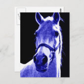 夜馬 ポストカード (正面/裏面)