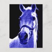 夜馬 ポストカード (正面)