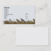 夜鷲の名刺 名刺 (正面/裏面)