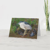 夜鷲の誕生日 カード (裏面)