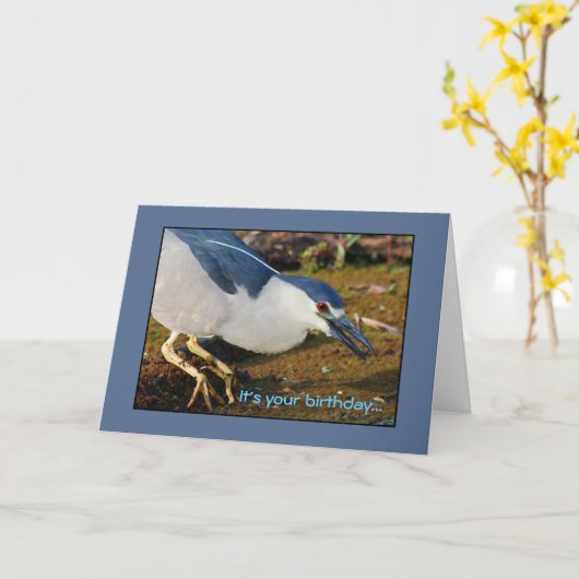 夜鷲の誕生日 カード (黄色い花)