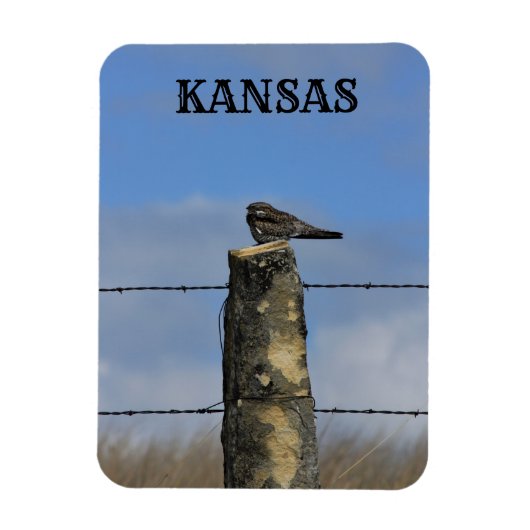 夜鷹が石柱の磁石で眠る マグネット (縦)