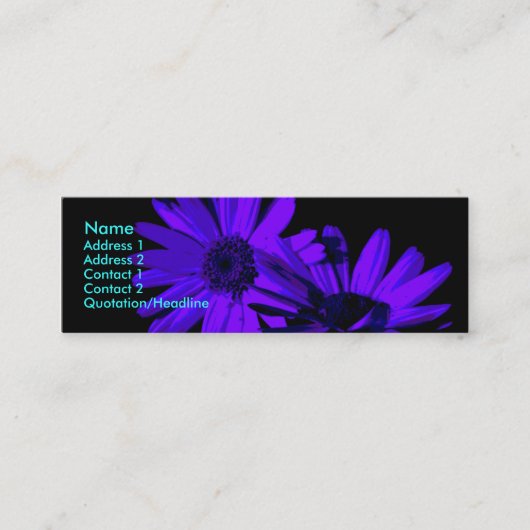 夜1時のジェルベラ スキニー名刺 (正面)