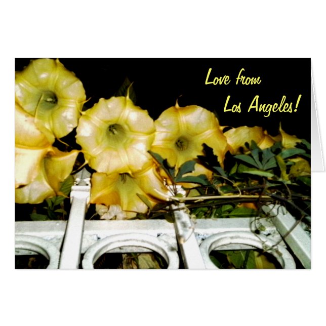 夜1bでトランペット (正面横)