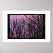 夜 ポスター (正面)