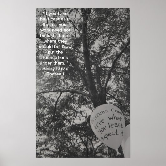 夢が実現 ポスター (正面)