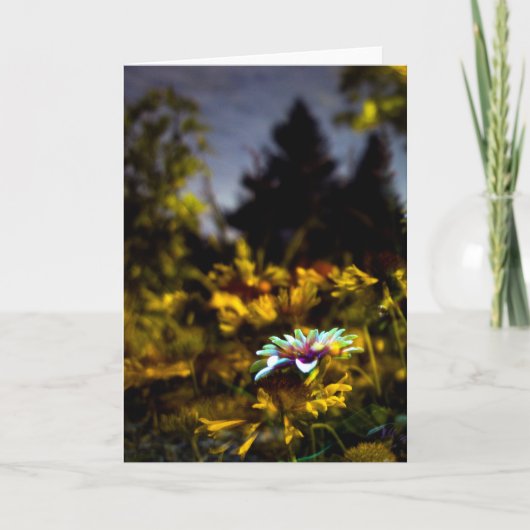 夢が来るかもしれないところ カード (正面)