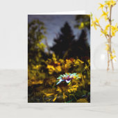 夢が来るかもしれないところ カード (黄色い花)