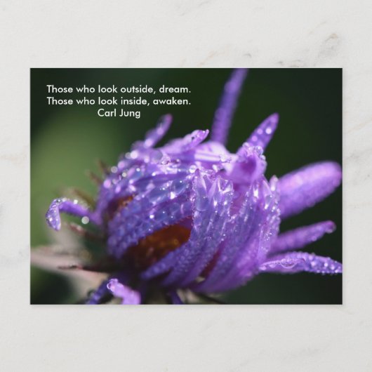 夢と目覚め ポストカード (正面)