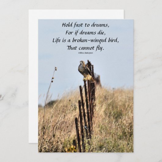 夢に向かって速く持ち続ける 招待状 (正面/裏面)