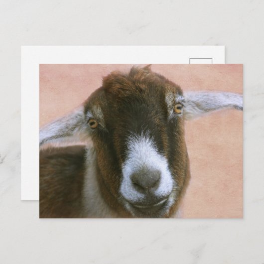 夢のようなハンサムなヤギのはがき ポストカード (正面/裏面)