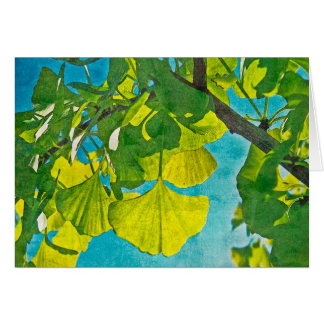 夢のようなファン (正面横)