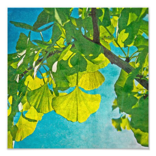 夢のようなファン フォトプリント            (正面)