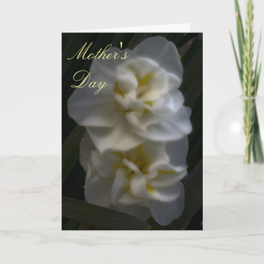 夢のような水仙の母の日 カード (正面)