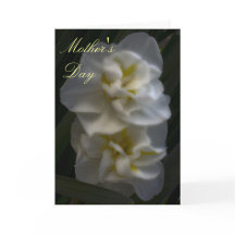 夢のような水仙の母の日