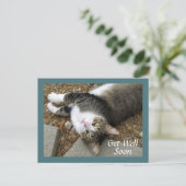 夢のような目をしたタビー猫はがき ポストカード (スタンド正面)