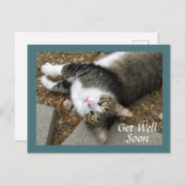 夢のような目をしたタビー猫はがき ポストカード (正面/裏面)