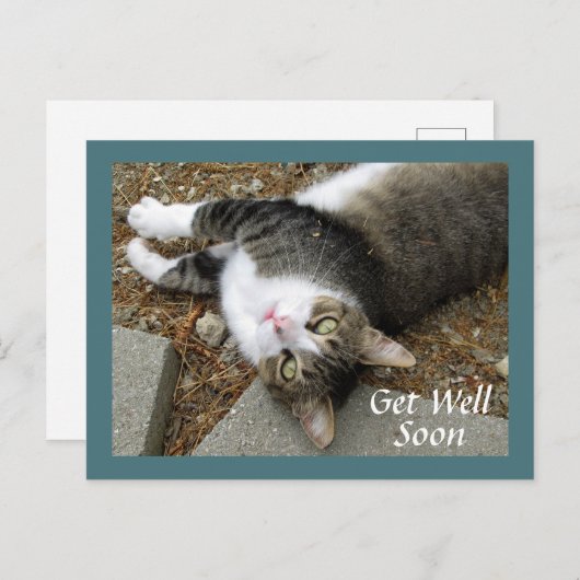 夢のような目をしたタビー猫はがき ポストカード (正面/裏面)