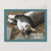 夢のような目をしたタビー猫はがき ポストカード (正面)