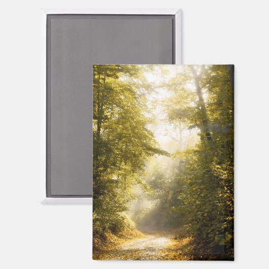 夢のような秋の道、写真 マグネット (正面/裏面)
