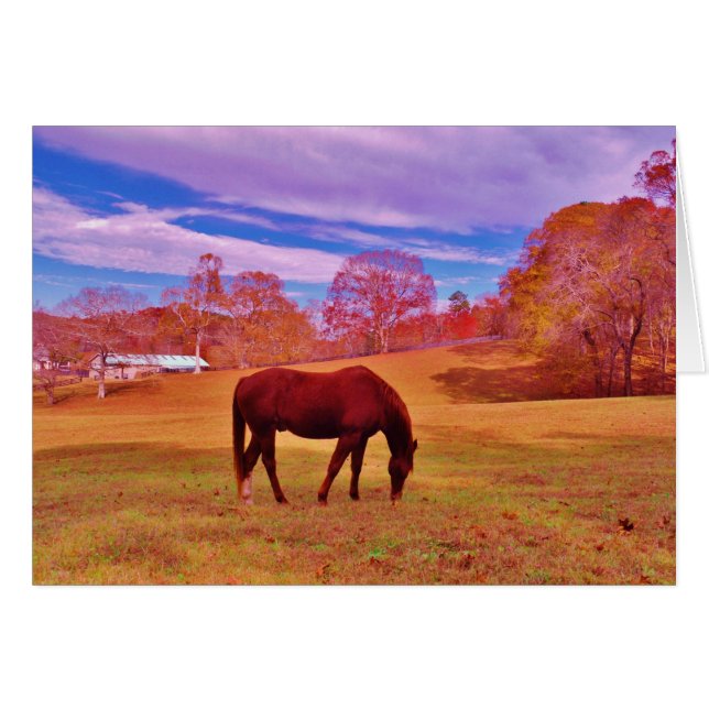 >夢のような色のフィールドで茶色 (正面横)