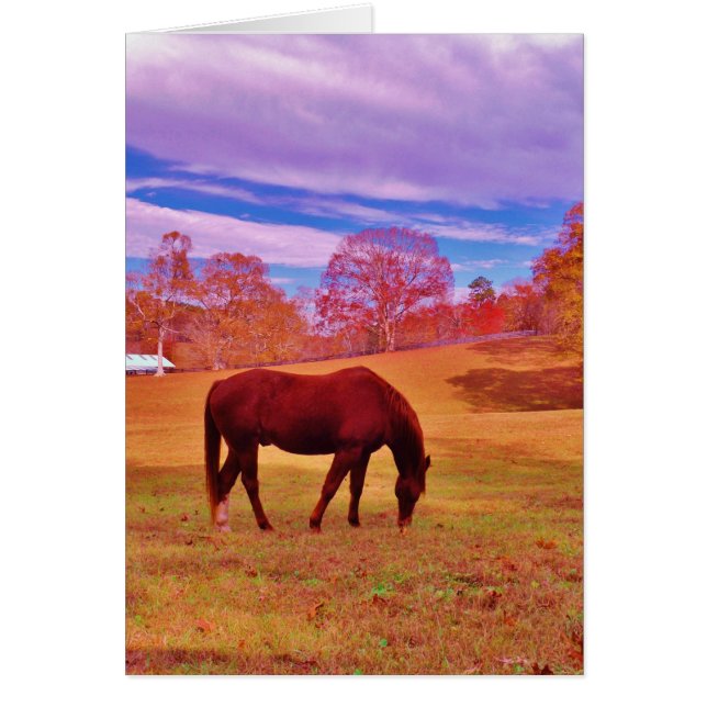 >夢のような色のフィールドで茶色 (正面)