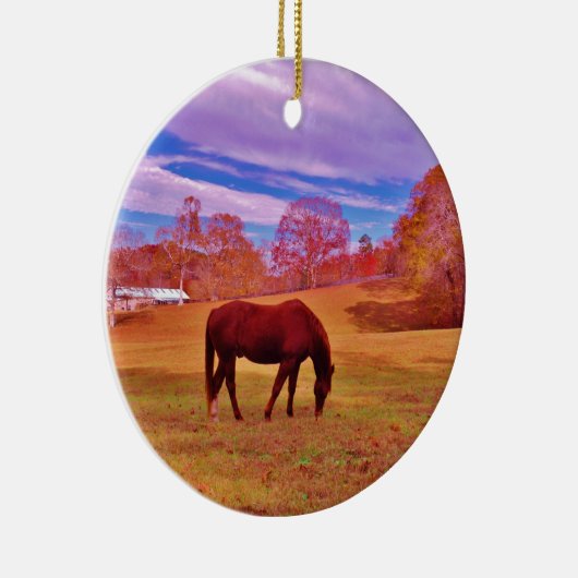 >夢のような色のフィールドで茶色 セラミックオーナメント (右)