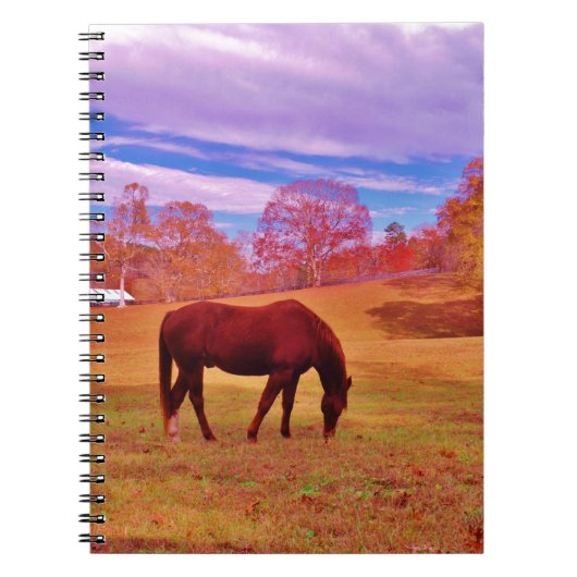 >夢のような色のフィールドで茶色 ノートブック (正面)