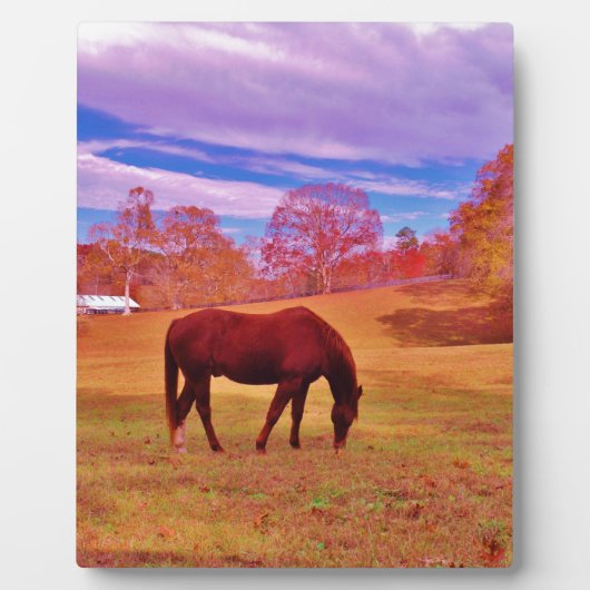 >夢のような色のフィールドで茶色 フォトプラーク (正面)