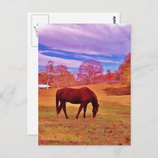 >夢のような色のフィールドで茶色 ポストカード (正面/裏面)