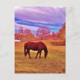 >夢のような色のフィールドで茶色 ポストカード