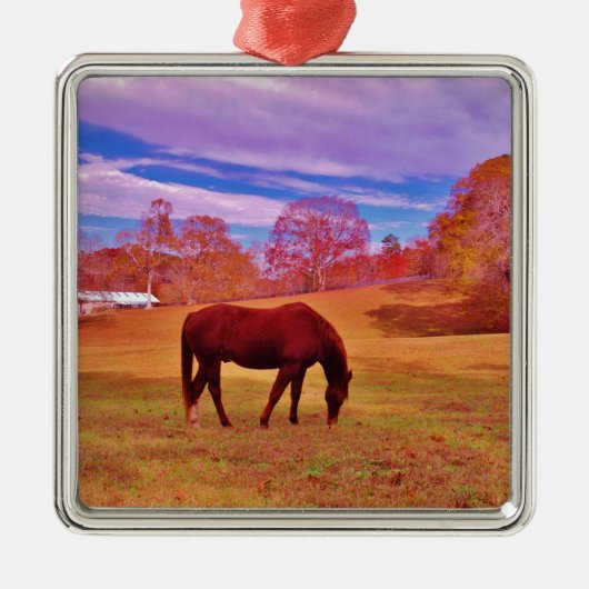 >夢のような色のフィールドで茶色 メタルオーナメント (正面)