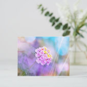 夢のような花 ポストカード (スタンド正面)