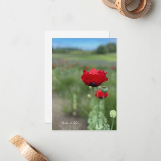 夢のような赤いケシ ノートカード (正面/裏面インサイチュ)