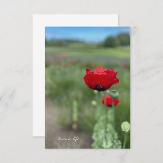 夢のような赤いケシ ノートカード (正面/裏面)