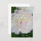 夢のような赤面牡丹 ノートカード (正面/裏面)