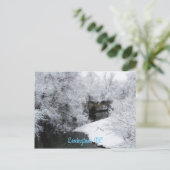 夢のような雪の水平はがき ポストカード (スタンド正面)