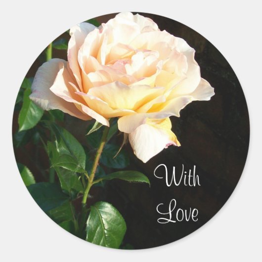 '夢のスパイア'バラシール ラウンドシール (正面)