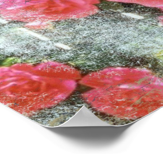 夢のバラ – ポスター (角)