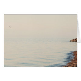 夢のビーチ場面