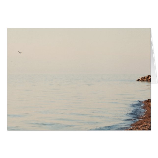 夢のビーチ場面 (正面横)